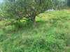 Ma-Cabane - Vente Terrain LE MORNE VERT, 1494 m²