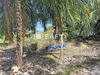 Ma-Cabane - Vente Terrain Le Moule, 800 m²