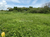 Ma-Cabane - Vente Terrain LE MOULE, 1811 m²