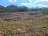 Ma-Cabane - Vente Terrain LE MOULE, 1811 m²