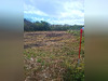 Ma-Cabane - Vente Terrain LE MOULE, 1811 m²