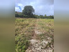 Ma-Cabane - Vente Terrain LE MOULE, 1811 m²