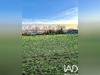 Ma-Cabane - Vente Terrain Le Moutherot, 1193 m²