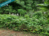 Ma-Cabane - Vente Terrain Le Robert, 675 m²