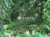 Ma-Cabane - Vente Terrain Le Robert, 1609 m²