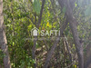 Ma-Cabane - Vente Terrain Le Robert, 2039 m²