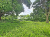 Ma-Cabane - Vente Terrain Le Robert, 2555 m²