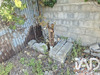 Ma-Cabane - Vente Terrain Le Soler, 349 m²