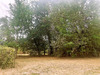 Ma-Cabane - Vente Terrain LE TAILLAN MEDOC, 572 m²