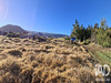 Ma-Cabane - Vente Terrain Le Tampon, 900 m²