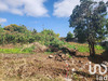 Ma-Cabane - Vente Terrain Le Tampon, 359 m²