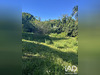 Ma-Cabane - Vente Terrain Le Tampon, 901 m²