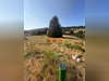 Ma-Cabane - Vente Terrain Le Tholy, 2489 m²