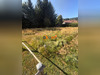 Ma-Cabane - Vente Terrain Le Tholy, 858 m²