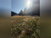 Ma-Cabane - Vente Terrain Le Tholy, 858 m²