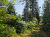 Ma-Cabane - Vente Terrain LE THOLY, 16790 m²