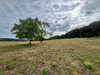 Ma-Cabane - Vente Terrain Le Val-d'Ajol, 3130 m²