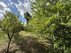 Ma-Cabane - Vente Terrain Le Vaudoué, 1440 m²
