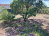Ma-Cabane - Vente Terrain Le Verdon-sur-Mer, 1130 m²