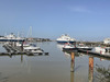 Ma-Cabane - Vente Terrain Le Verdon-sur-Mer, 553 m²