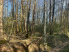 Ma-Cabane - Vente Terrain LE VIEIL BAUGE, 16366 m²