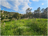 Ma-Cabane - Vente Terrain LECCI, 1200 m²