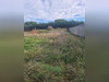 Ma-Cabane - Vente Terrain LEGUEVIN, 1274 m²