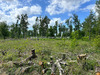 Ma-Cabane - Vente Terrain LEGUILLAC-DE-L'AUCHE, 1617 m²