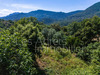 Ma-Cabane - Vente Terrain Les Adrets-de-l'Estérel, 2883 m²