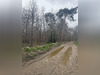 Ma-Cabane - Vente Terrain LES AUTHIEUX-SUR-LE-PORT-SAINT-OUEN, 10000 m²