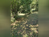 Ma-Cabane - Vente Terrain LES CABANNES, 0 m²