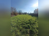 Ma-Cabane - Vente Terrain Les Damps, 2913 m²