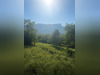 Ma-Cabane - Vente Terrain Les Mollettes, 796 m²