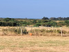 Ma-Cabane - Vente Terrain LES MOUTIERS-EN-RETZ, 750 m²