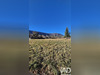 Ma-Cabane - Vente Terrain Les Omergues, 529 m²