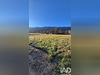 Ma-Cabane - Vente Terrain Les Omergues, 531 m²