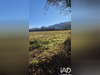Ma-Cabane - Vente Terrain Les Omergues, 628 m²
