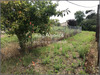 Ma-Cabane - Vente Terrain LES SABLES D OLONNE, 8835 m²