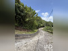 Ma-Cabane - Vente Terrain Les Trois-Îlets, 7948 m²