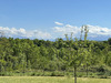 Ma-Cabane - Vente Terrain Lescar, 1264 m²