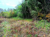 Ma-Cabane - Vente Terrain LESCURE-D'ALBIGEOIS, 3192 m²