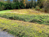 Ma-Cabane - Vente Terrain LESCURE-D'ALBIGEOIS, 3192 m²