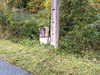 Ma-Cabane - Vente Terrain LESCURE-D'ALBIGEOIS, 3192 m²