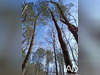 Ma-Cabane - Vente Terrain Lesparre-Médoc, 7302 m²