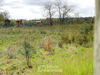 Ma-Cabane - Vente Terrain LESPERON, 2484 m²