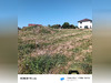 Ma-Cabane - Vente Terrain Levier, 978 m²