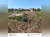 Ma-Cabane - Vente Terrain Levier, 978 m²