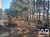 Ma-Cabane - Vente Terrain Lézignan-Corbières, 1707 m²