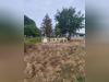 Ma-Cabane - Vente Terrain Lherm, 773 m²
