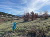 Ma-Cabane - Vente Terrain LIMOUX, 6630 m²